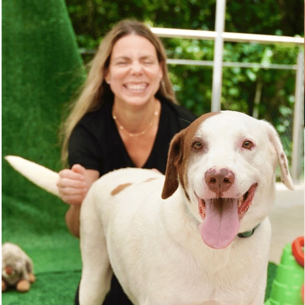 This is Roy: A 6 yr old, 72 lbs mixed breed. He's Brown and mostly white, always smiling, shown here with a woman who looks to be his caretaker, perhaps at the shelter or in Foster.